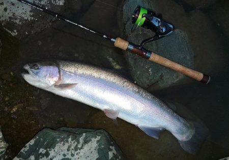 危うくボウズになるとこだった ～天竜川ルアーフライ専用区～